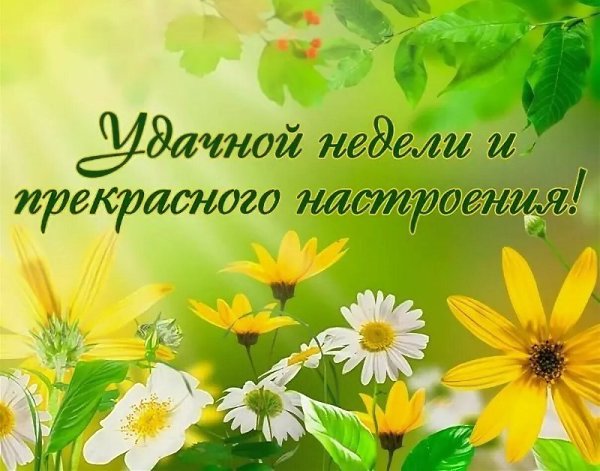   ,    . - 25  2019  22:51