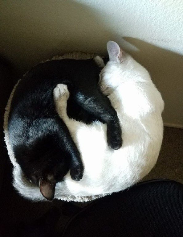 o eee.
