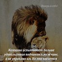 ���� �����, ���������, 67 ��� - ��������� 2 ������ 2019 � ������ ������ ��������