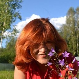 Vitta, ������, 63 ����