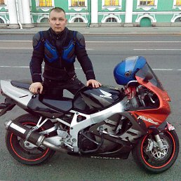 ���� �����, �����-���������, 44 ���� - ��������� 29 ������� 2019