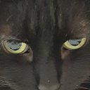 ����� �� ������� ���� ����������