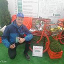 ���� ������, ������, 27 ��� - ��������� 24 �������� 2019 � ������ ���� ����������