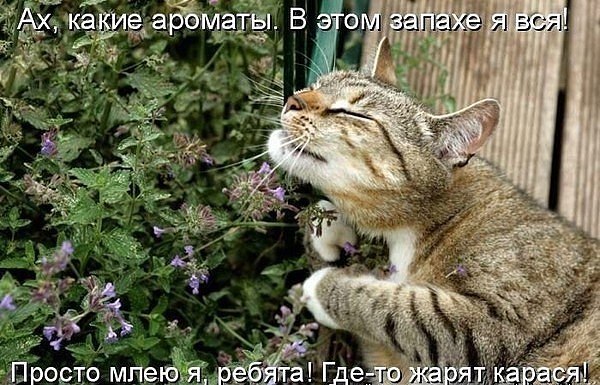  - 24  2019  19:26