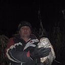 ���� ������, ����, 51 ��� - ��������� 28 �������� 2019 � ������ ������ ��������