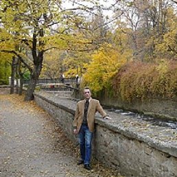 �������, ������, 71 ���