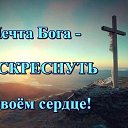 ���� ���������, ����������, 55 ��� - ��������� 29 ������ 2019 � ������ ������ ��������