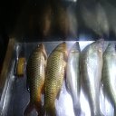 ���� �������, ����, 40 ��� - ��������� 27 ������� 2019 � ������ ���� ����������