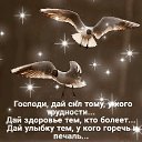 ���� ������, ��������� - ��������� 8 ������ 2019 � ������ ������
