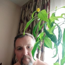 ����, �������, 55 ���