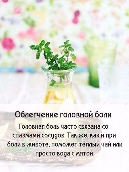Чудо-мята: полезные свойства! А вы любите мятный чай? #советы@ican