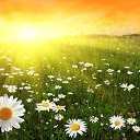 ���� ����, �����������, 63 ���� - ��������� 19 ��� 2019 � ������ ������ ��������