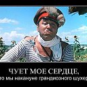 ���� ������, �����-���������, 61 ��� - ��������� 9 �������� 2019 � ������ ���� ����������