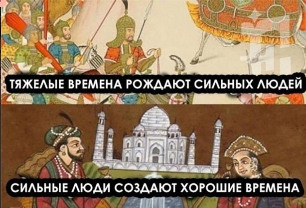 Тяжелые времена рождают сильных котят