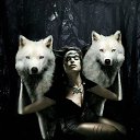 ���� ��������, ������������ - ��������� 28 ���� 2019 � ������ ������ ��������