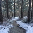 ���� �����, �����-��������� - ��������� 3 ������ 2019 � ������ ���� ����������