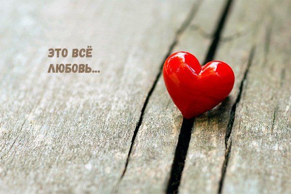 Я напишу тебе стихи: Всю нежность соберу до крошки – И протяну тебе в ладошке Семь строф милейшей ...