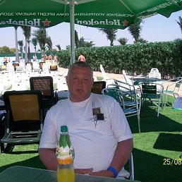 ���� Gogi, �������� - ��������� 1 �������� 2019