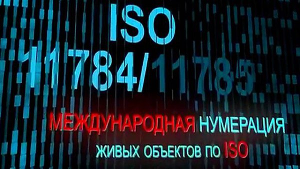 ��� ������ ��� - 26 ������ 2019 � 03:26