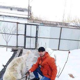 Farid, , 31 