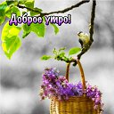 ���� ��������, ��������� - ��������� 1 ������ 2019 � ������ ���� ����������