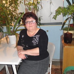 ���������, ������, 65 ���