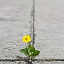  ••,  -  11  2019       ...