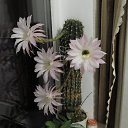 ���� ����, ������� ����� - ��������� 5 ���� 2019 � ������ ������ ��������