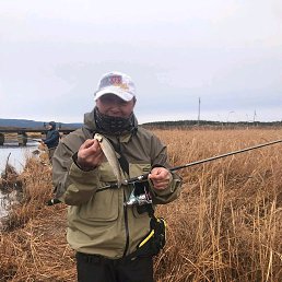 �������, ����-���������, 50 ���