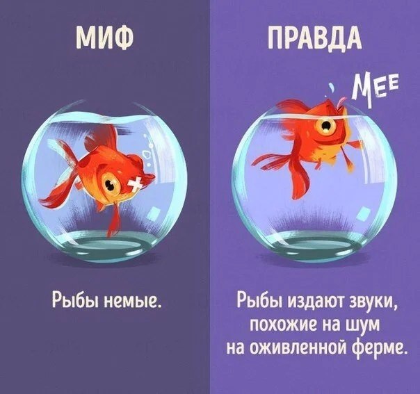  10-   .       ,          ... - 3