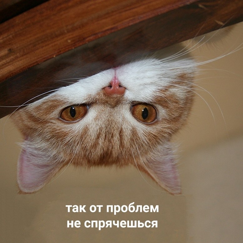    - 4
