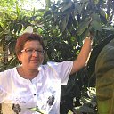 ���� ����, �������, 67 ��� - ��������� 1 ���� 2019 � ������ ���� ����������