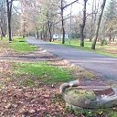 ���� ��������, ������, 67 ��� - ��������� 3 ������� 2019 � ������ ���������� 2019�