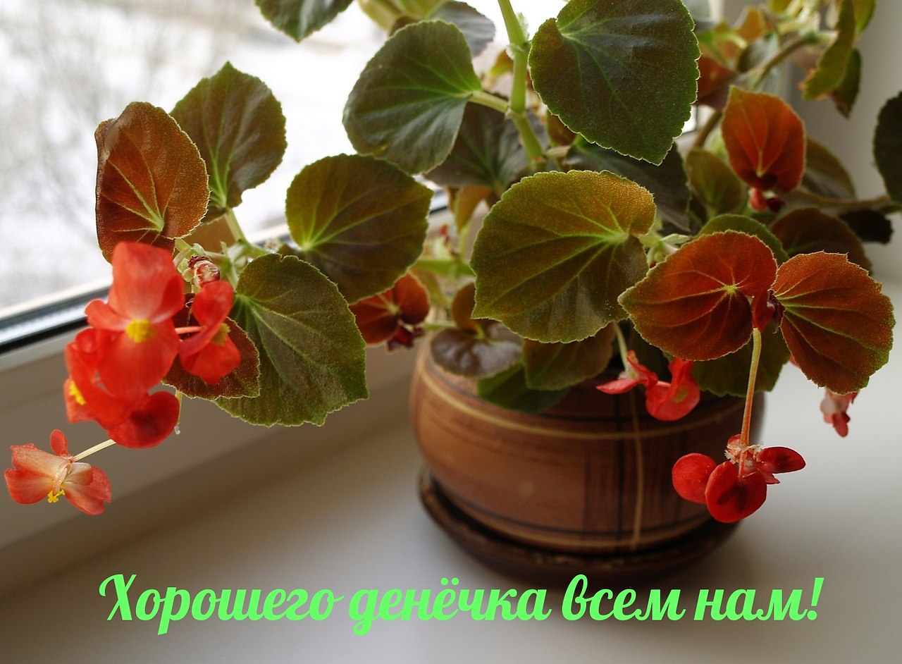   ,    . - 7  2019  19:23