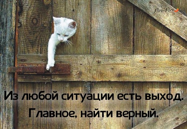 Эм Вильевич - 28 декабря 2019 в 23:45
