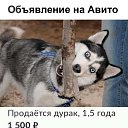 ���� Maxmud, ������� - ��������� 23 ������ 2019 � ������ ������ ��������
