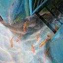 ���� Gala, ������ - ��������� 21 ������� 2019 � ������ �������� ������� 2019�