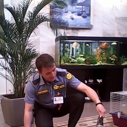 Oleg, ������, 56 ���