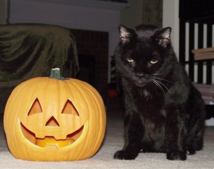 Happy Halloween! - 4