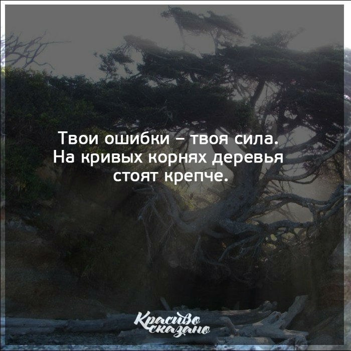   . . . - 9  2019  03:49