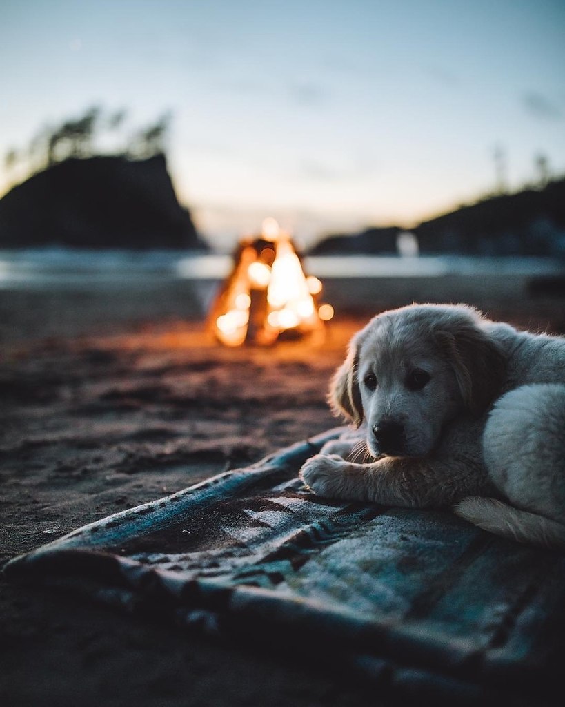 �a� �� �oo��e �o�e�e ���� �e� co�a��? - 2