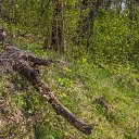 ���� ������, �����, 61 ��� - ��������� 27 ������ 2019 � ������ ����� ���������