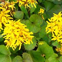 ���� -N-, ������� - ��������� 23 ������� 2019 � ������ ������ 2013�