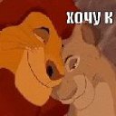 ���� �����, �����, 37 ��� - ��������� 19 ���� 2019 � ������ ���� ����������