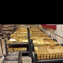 ���� ������, ������, 44 ���� - ��������� 28 ������ 2019