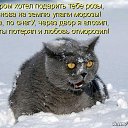 ���� ����, ������, 43 ���� - ��������� 11 ������ 2019 � ������ ���� ����������