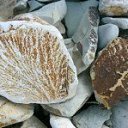 ���� �����, ���������, 57 ��� - ��������� 4 ��� 2019 � ������ ���� ����������