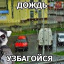 ���� �������, ����� - ��������� 17 ������� 2019 � ������ ������ ��������