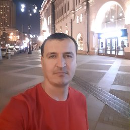 �����, ������, 51 ���