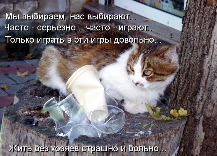 ***Victoria Viktorovna*** - 30  2019  16:25